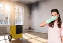 Tips Mencegah Penyakit dalam Rumah