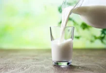 Beragam Manfaat Susu Unta Bagi Tubuh