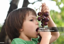 Berbagai Manfaat Buah Anggur untuk Kesehatan Anak