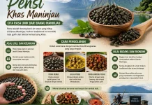 Pensi Khas Maninjau Cita Rasa Unik dari Danau Maninjau