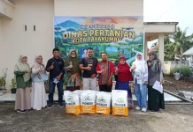 Pemko Payakumbuh Salurkan Bantuan Benih Jagung untuk Petani Terdampak Bencana