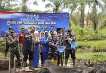 Wako Hendri Arnis Ikuti Panen Raya 1,5 Ton Ikan Nila Dukung Ketahanan Pangan