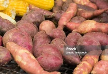 Ragam Pilihan Makanan Pengganti Nasi