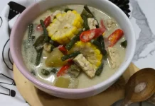 Sayur Lodeh Masakan Khas Jawa tengah yang Banyak disukai