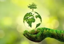 Eco-Friendly Lifestyle ala Gen Z, Simple tapi Berdampak