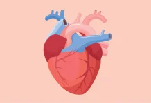 Tips Menjaga Kesehatan Jantung agar Tetap Berfungsi Baik