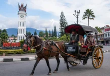 Bendi di Kota Bukittinggi Transportasi Tradisional yang Menjadi Ikon Wisata