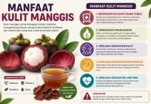 Manfaat Kulit Manggis bagi Kesehatan