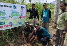 Koramil Guguak Tanam Pohon Peringati Hari Bumi Sedunia