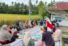 Babinsa Akabiluru Bahas Ketahanan Pangan dan Pengendalian Hama Tikus