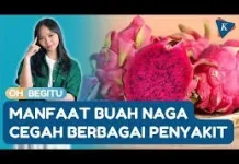 Buah Naga, dan Khasiatnya