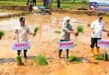 Pemkab Agam Komit Sukseskan Program Gerakan Tanam 50 Ribu Hektare di Tanjung Raya