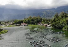 Danau Maninjau Keindahan Alam Sumatera Barat
