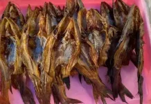 Ikan Salai, Kuliner Asap Tradisional Nusantara yang Tahan Lama