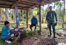 Denzibang 1 Kodam Tuanku Imam Bonjol Tinjau Lokasi Karya Bakti di Mentawai