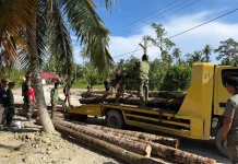 Satgas TNI Bersama Warga Bangun Jembatan Kokoh Mentawai