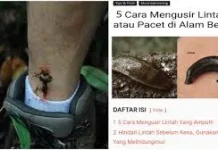 Cara Mengusir Lintah yang Ampuh