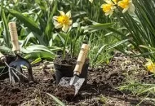 Berkebun Menjadi Cara Sederhana Mencari Ketenangan
