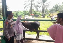 Polres Pasbar Ingatkan Masyarakat Waspada Pencurian Ternak jelang Idul Adha
