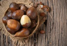 Beragam Manfaat Salak untuk Kesehatan