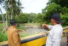 Bupati Tinjau Jembatan Titian Putiah yang Rusak akibat Banjir