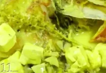 Pangek Masin Ikan Kerapu Kuah Kuning yang Nikmat Sekali
