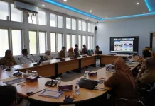 Padang Panjang Terima Sapi Kurban Presiden 960 Kg untuk Iduladha 1447 H