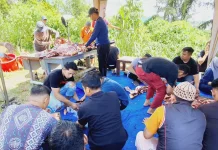 Grand Rocky Hotel Group Tebar Kepedulian, Sembelih Tiga Sapi Kurban idul Adha 1447 H