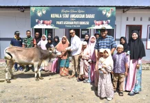 Korem 032/Wbr Salurkan 3 Ekor Sapi Kurban Bantuan Kasad