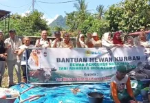 DPW Tani Merdeka Sumbar Sembelih Kurban di Bungtekab