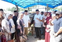 Zulmaeta Apresiasi Bantuan Sapi Kurban Presiden