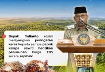 Bupati Pasbar Larang PKS Turunkan Harga TBS Sepihak
