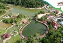 Pulau Belibis Permata Tersembunyi di Kawasan Danau Singkarak