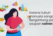 Tips Mengatasi Dehidrasi