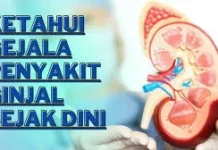 Kenali Gejala Penyakit Ginjal sebelum Terlambat