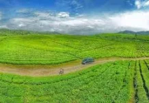 Wisata Alahan Panjang Permata Sejuk di Kabupaten Solok Sumbar