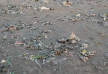 Dampak Sampah Plastik terhadap Ekosistem Sungai, dan Laut