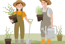 Tren Hobi Berkebun yang Semakin Diminati Masyarakat