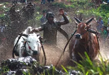 Peran Generasi Muda dalam Melestarikan Budaya Minangkabau