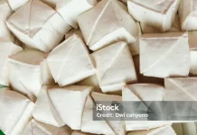 Berbagai Manfaat Tahu untuk Kesehatan