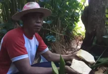 Pulau Miangas, "Surga Tropis di Beranda Utara Nusantara"