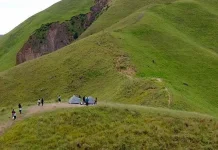 Menyesap Magis Danau Toba dari Puncak Bukit Holbung
