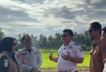 Kasatpol PP Payakumbuh Sebut Penertiban Kawasan Batang Agam Sesuai Aturan