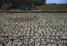 Fenomena El Niño: Dampak dan Tantangan bagi Lingkungan