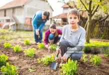 Manfaat Berkebun dan Memelihara Tanaman untuk Kesehatan