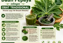 Khasiat Daun Pepaya sebagai Obat Tradisional yang Tak Banyak Diketahui