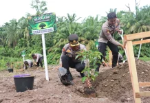 Polres Pasbar Tanam Berbagai Jenis Pohon di Aliran Sungai Batang Toman