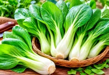 Pakcoy, Sayuran Sederhana dengan Segudang Nutrisi
