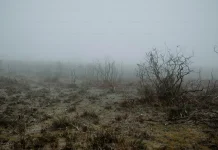 Proses Terjadinya Kabut Embun di Pagi Hari