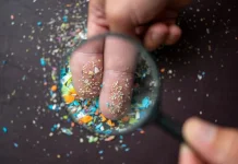 Bahaya Tersembunyi Mikroplastik Tanaman dalam Ruangan Kita